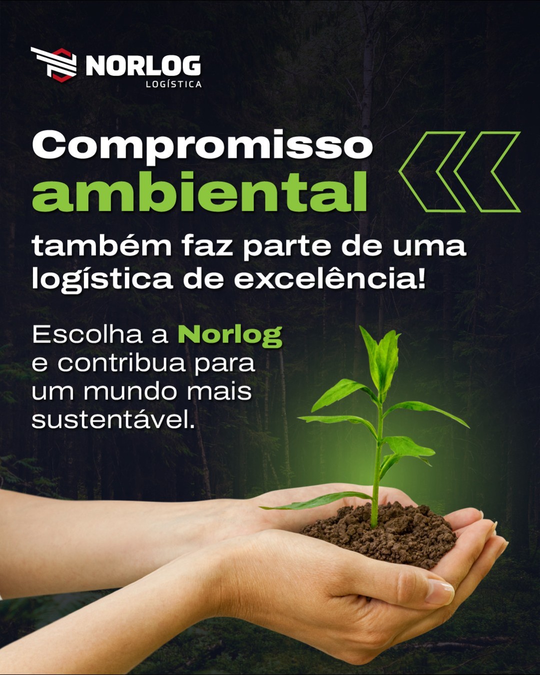 Uma empresa focada em compromisso e sustentabilidade